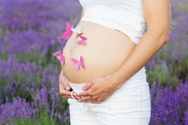 Similar image 8295647