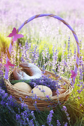 Similar image 8295655