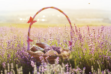 Similar image 8295656