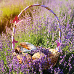 Similar image 8295659