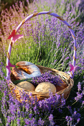 Similar image 8295660