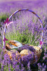 Similar image 8295661