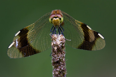 Similar image 8295770