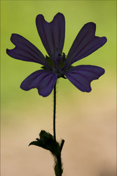 Similar image 8295774