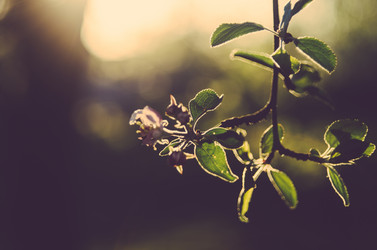 Similar image 8295783