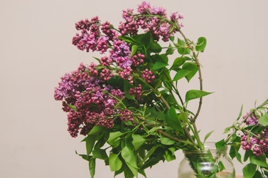 Similar image 8295786