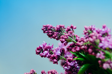 Similar image 8295787