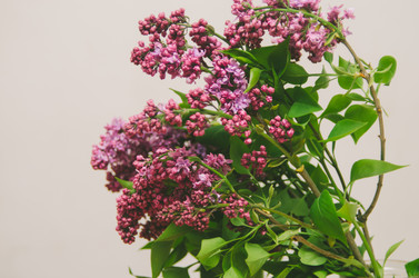 Similar image 8295793