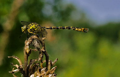 Similar image 8295802