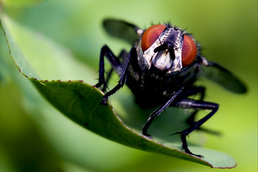 Similar image 8295805