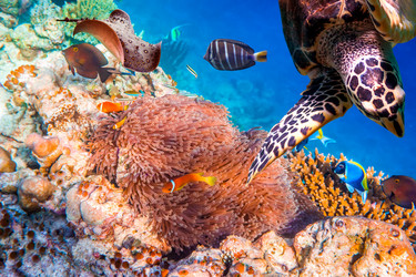 Similar image 8295868