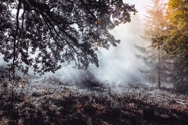 Similar image 8295982