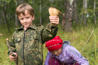 Similar image 8296291