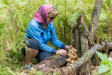 Similar image 8296292