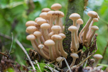 Similar image 8296293