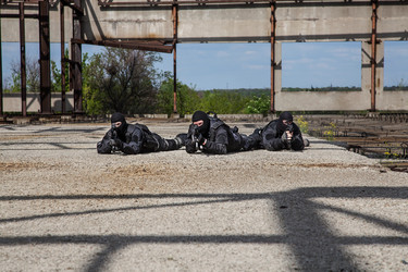 Similar image 8296301