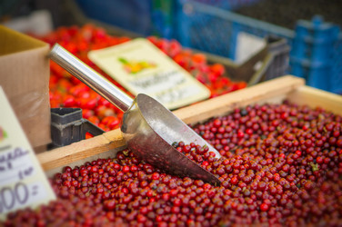 Similar image 8296772