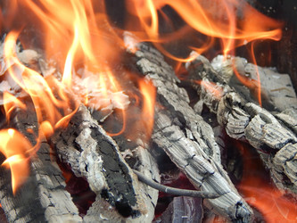 Similar image 8296800