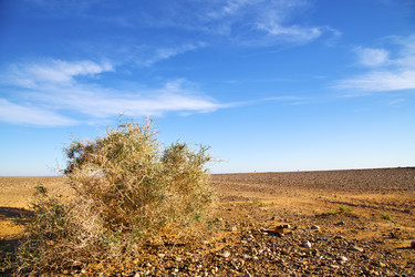 Similar image 8296804