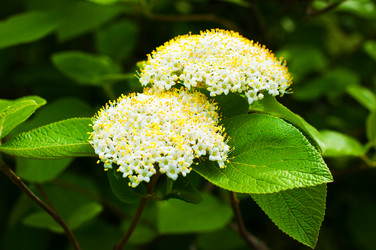 Similar image 8296854