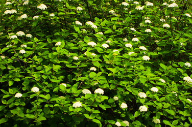 Similar image 8296858