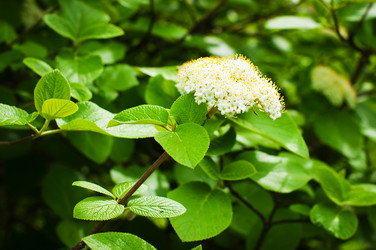 Similar image 8296860