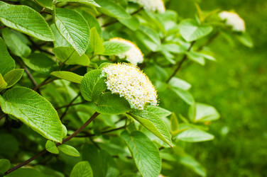 Similar image 8296861