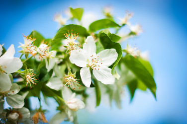 Similar image 8296862