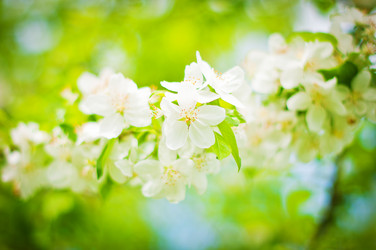 Similar image 8296863