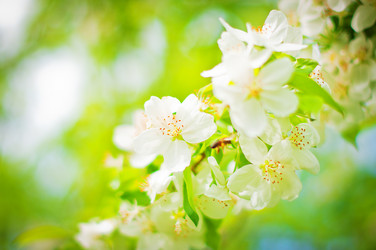 Similar image 8296868