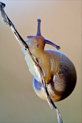 Similar image 8296873