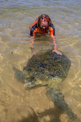 Similar image 8297079