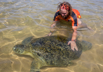 Similar image 8297080