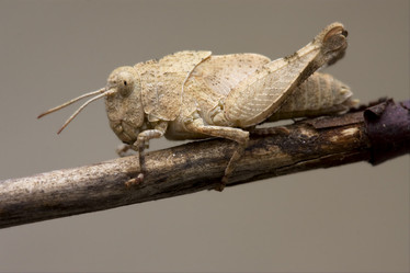 Similar image 8297110