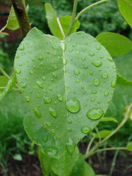 Similar image 8297118