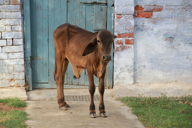 Similar image 8297119