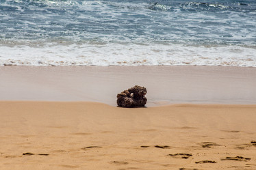 Similar image 8297129