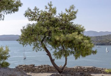 Similar image 8297148