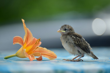 Similar image 8297169