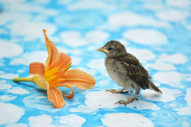 Similar image 8297170