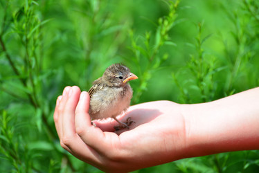 Similar image 8297171