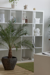 Similar image 8297472