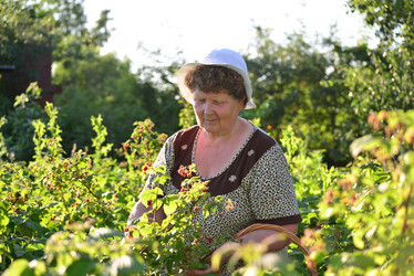 Similar image 8297536