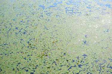 Similar image 8297542