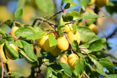 Similar image 8297544