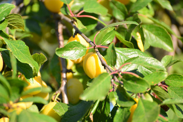 Similar image 8297545