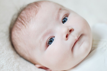 Similar image 8297669