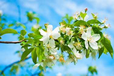 Similar image 8297699