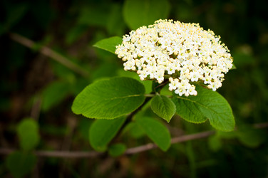 Similar image 8297710