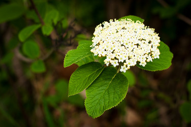 Similar image 8297711